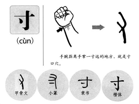 指事字大全|常见的指事字有哪些